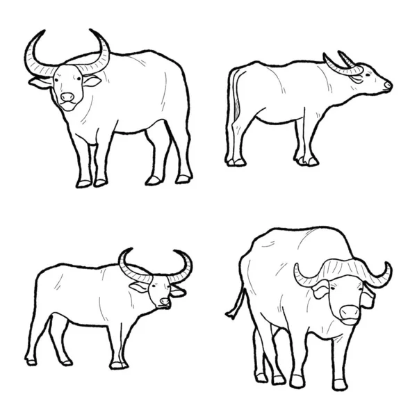 Búfalo Vector Ilustración Dibujado Mano Animal Cartoon Art — Archivo Imágenes Vectoriales