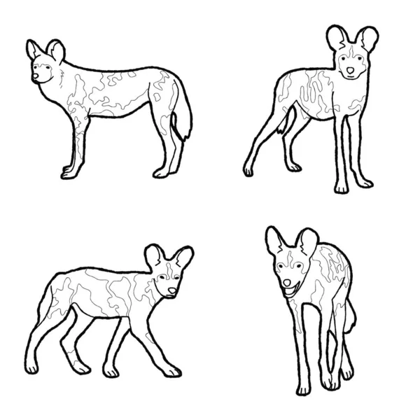 Cabo Caça Cão Vetor Ilustração Mão Desenhado Animal Desenhos Animados — Vetor de Stock