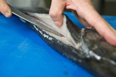 Keskin bir bıçak kullanarak mavi kesme tahtası üzerinde taze bir balıktan kemiği filetolama ve çıkarma.