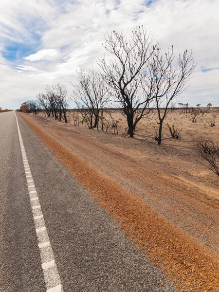 Árboles Negros Quemados Largo Carretera Después Incendio Australiano Interior — Foto de Stock