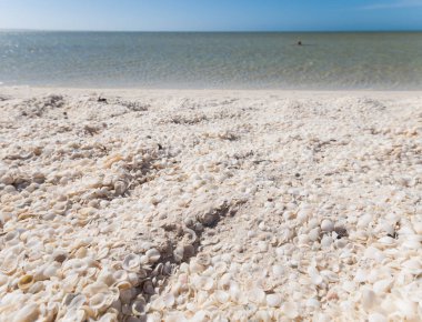 Shell Beach, Batı Avustralya, 05/05/2015, Shell beach backpackers ile popüler küçük beyaz cockle kabukları, tamamen oluşan bir plaj.
