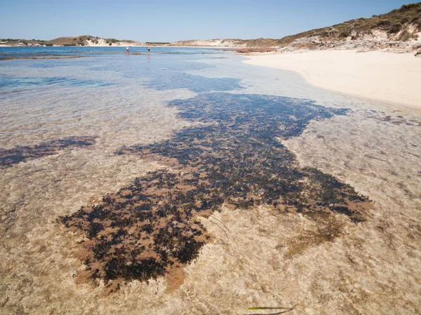 Rottnest Island West Australië 2015 Ondiep Water Een Strand Rottenest — Stockfoto