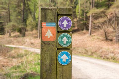 Grizdale orman, İngiltere'de, 06/06/2016, Kuzey yüz iz, döngüsü Bisiklet yol işaretleri bir orman içinde ahşap bir yayında mesafe içine kaybolan bir parça ile