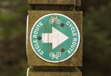 Ormanda ahşap bir direk üzerinde bisiklet rota işareti bisiklet.