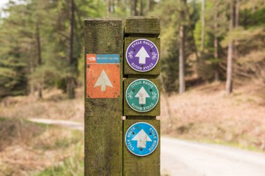Grizdale orman, İngiltere'de, 06/06/2016, Kuzey yüz iz, döngüsü Bisiklet yol işaretleri bir orman içinde ahşap bir yayında mesafe içine kaybolan bir parça ile