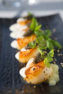 Organik tarak kereviz püresi ile servis, lezzetli pan katılaşmış, havyar, maydanoz ve beyaz krema sos şarap. Profesyonel olarak sunulan ve sığ bir alan derinliği ile vurdu.