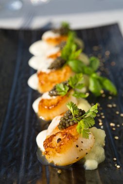 Organik tarak kereviz püresi ile servis, lezzetli pan katılaşmış, havyar, maydanoz ve beyaz krema sos şarap. Profesyonel olarak sunulan ve sığ bir alan derinliği ile vurdu.