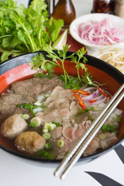 Geleneksel Vietnam sığır eti ve tavuk pho sokak gıda taze otlar tarafından çevrili, kâse. Pho et, otlar, biber, kişniş ve köfte oluşan bir Vietnamlı erişte çorbası mı