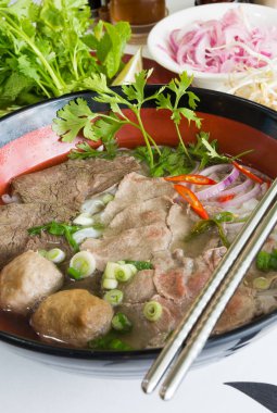 Geleneksel Vietnam sığır eti ve tavuk pho sokak gıda taze otlar tarafından çevrili, kâse. Pho et, otlar, biber, kişniş ve köfte oluşan bir Vietnamlı erişte çorbası mı