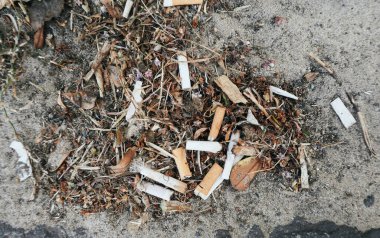 Plaj ortamında doğal yapraklar ve dallarla karıştırılmış bir yığın kirli sigara izmariti. İnsan ve insan, doğal dünyayı kirleten bir kirlilik yarattı. Kirli kıyı çizgileri ve okyanuslar.                           