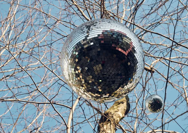 Una Bola Brillo Espejo Colgando Entorno Aire Libre Entre Los —  Fotos de Stock