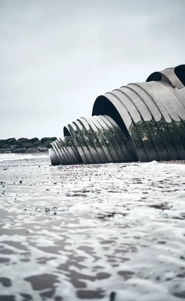 Cleveleys Anglie 2016 Obrovská Kovová Mušle Socha Lastury Pláži Při — Stock fotografie