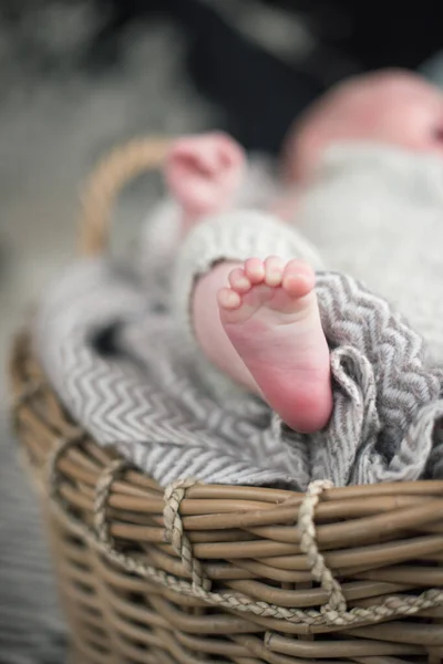 A beautiful soft delicate warm young baby foot photographed with a shallow depth of field. gentle calm colours and feel. baby care and well being. babies feet in a wooden basket