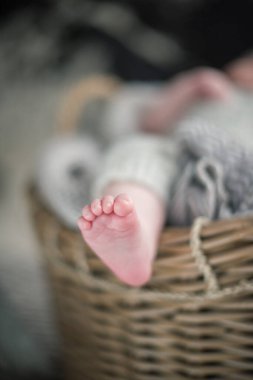 Sığ bir tarlada çekilmiş güzel, yumuşak, narin, genç bir bebek ayağı. Sakin renkler ve hisset. Bebek bakımı ve refah. Tahta bir sepetin içinde bebek ayakları