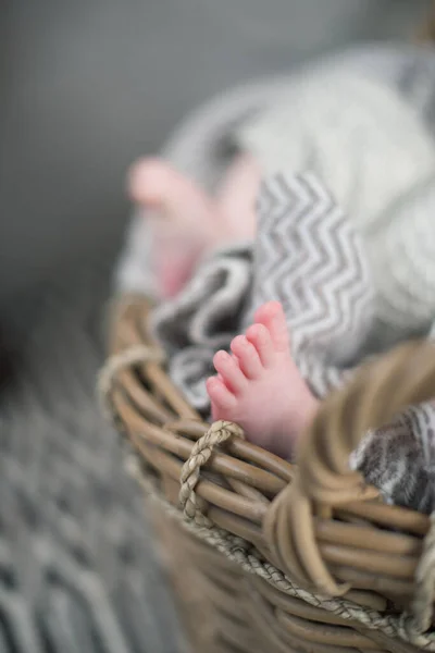 畑の浅い深さで撮影された美しい柔らかい繊細な暖かい赤ちゃんの足 穏やかな色と感じ 赤ちゃんの世話と幸福 木の籠の中の赤ん坊の足 — ストック写真