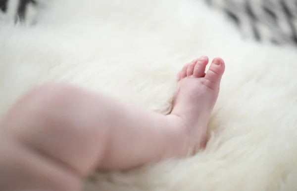 Beautiful Soft Delicate Warm Young Baby Foot Photographed Shallow Depth — Stock Photo, Image