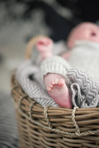 畑の浅い深さで撮影された美しい柔らかい繊細な暖かい赤ちゃんの足 穏やかな色と感じ 赤ちゃんの世話と幸福 木の籠の中の赤ん坊の足 — ストック写真