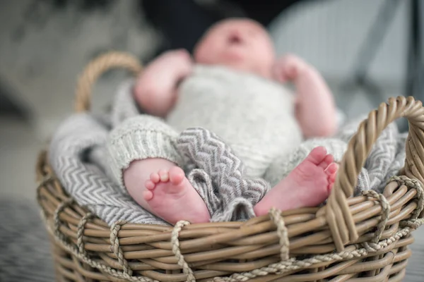 Piękna Delikatna Delikatna Młoda Nóżka Sfotografowana Płytką Głębią Ostrości Delikatne — Zdjęcie stockowe