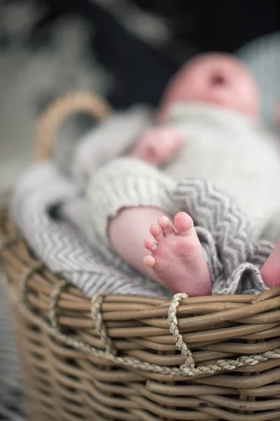 Piękna Delikatna Delikatna Młoda Nóżka Sfotografowana Płytką Głębią Ostrości Delikatne — Zdjęcie stockowe