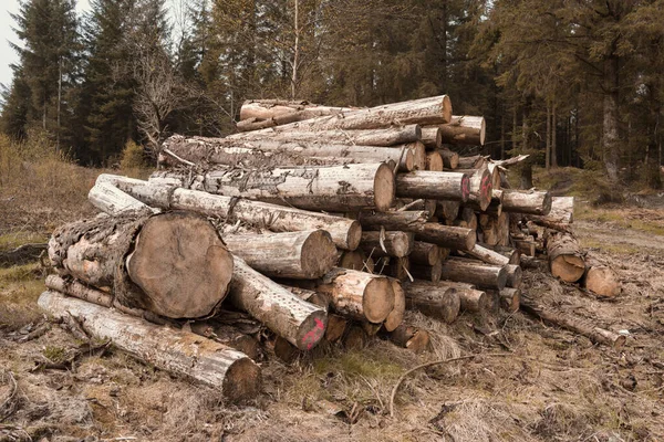 Una Pila Legname Abbattuto Alberi Rendere Chiaro Colture Agricole Disboscamento — Foto Stock