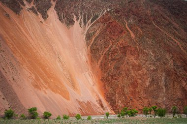 Pürüzsüz turuncu rhyolite dağlar. Kırmızı rock Dağları manzara. Altay kırmızı Dağları. Dağın eteğinde yeşil ağaçlar