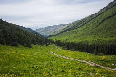 Toprak yol dağlarda. Yaz dağ manzarası. Patika vadi dağ sırtı orman yoluyla tepeden aşağı. Güzel doğa sahne.
