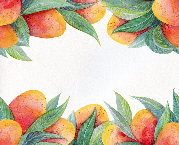 Sfondo colorato con frutta ad acquerello cornice mango. Acquerello mango frutta e foglie primo piano isolato su sfondo bianco . — Foto Stock