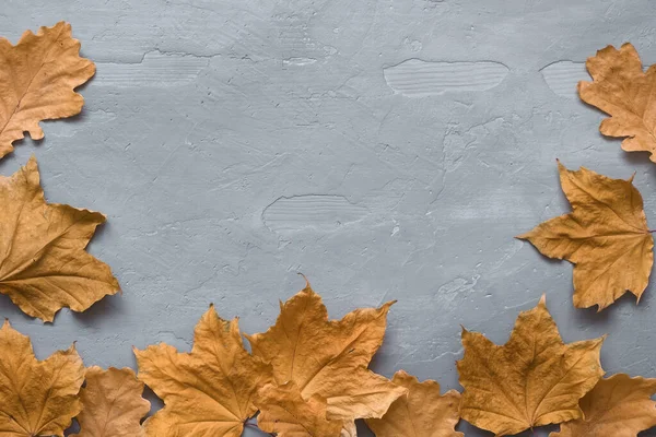 Kompozycja jesienna. Ramka wykonana z kolorowych liści marmuru na ciemnym betonowym tle — Zdjęcie stockowe