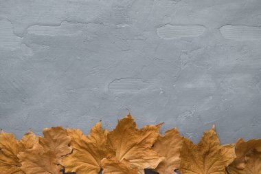Sonbahar kompozisyonu. Koyu beton arkaplanda renkli mermer yapraklardan yapılmış çerçeve