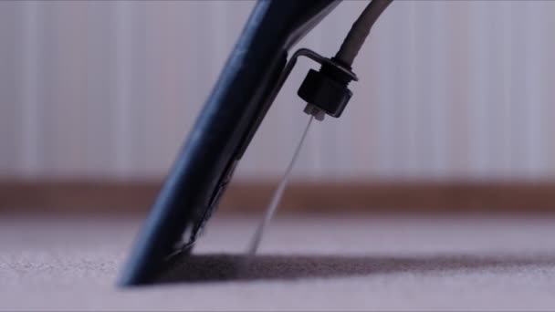 Limpeza do tapete com aspirador de pó na sala de estar — Vídeo de Stock