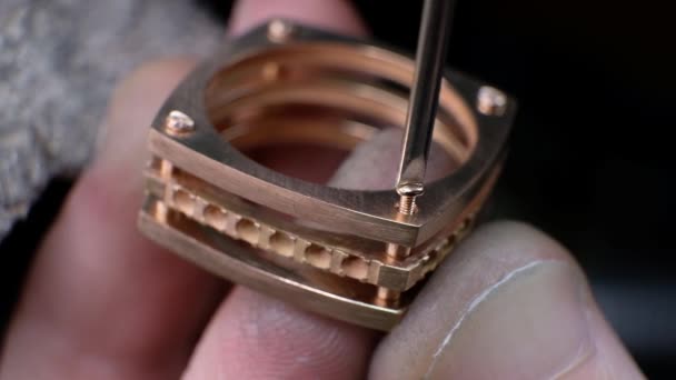 Smycken tillverkade av hantverk. Ring och reparerar. Jag sätter diamanten på ringen. Makroskott. Hantverkare som tillverkar diamantring. — Stockvideo