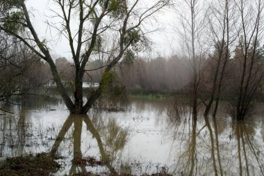 Merkezi California ve seller yağmur