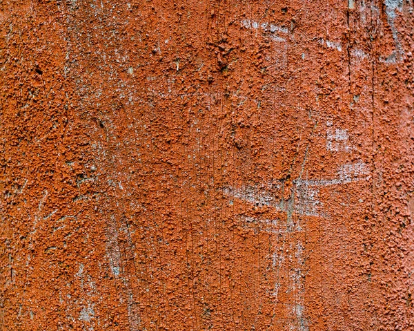 Яскравий помаранчевий колір лишайника на дерев'яній поверхні — стокове фото