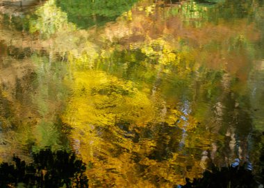 Sonbahar su arka planda yansıyan renkleri