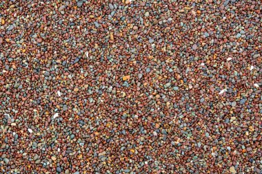  Sahilde çakıl taşları- doku veya arkaplan