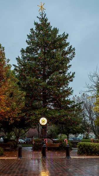 Weihnachtsbaum in der Stadt der Winter, Kalifornien — Stockfoto