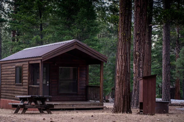 Standard cabin at California 's state park — стоковое фото