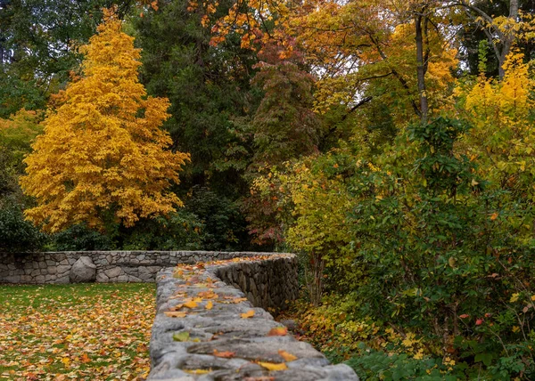 Leading line from a wall at Lithia Park  in Ashland, Oregon, USA, featuring yellow leaves in the Autumn. Ashland is the home of the Shakespeare Festival