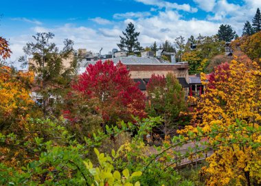 Ashland, Oregon, Usa. 18 Ekim 2019. Lithia Parkı 'nın bir bölümü ve sonbaharda restoranların manzarası, kırmızı ve sarı sonbahar renklerinin yer aldığı eski bir yer. Ashland ünlü Shakespeare Festivali 'nin evidir.