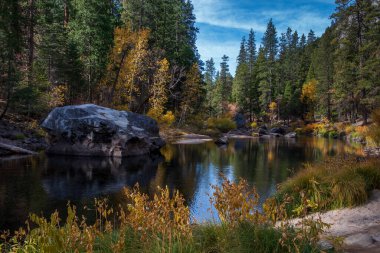 Mariposa 'nın Yosemite Merced Nehri manzarası, sonbaharda, sarı renkler ve mavi gökyüzü Kaliforniya, ABD 
