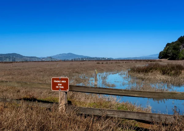 Salzwiesen China Camp State Park Kalifornien Usa Einem Blauen Himmel — Stockfoto