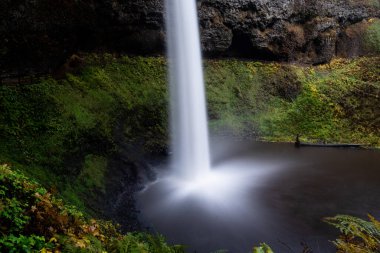 Sonbaharda Silver Falls Eyalet Parkı 'nda, Silverton, Oregon, Usa' da bir şelalenin uzun pozu, sarı ve yeşil renkler ve bir mağara.