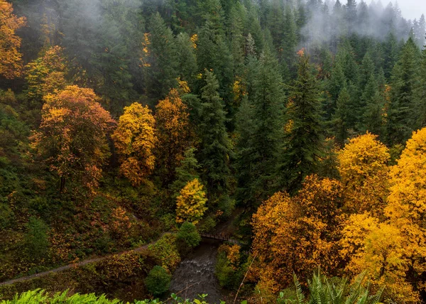 Τοπίο Στο Silver Falls State Park Silverton Όρεγκον Usa Φθινόπωρο — Φωτογραφία Αρχείου