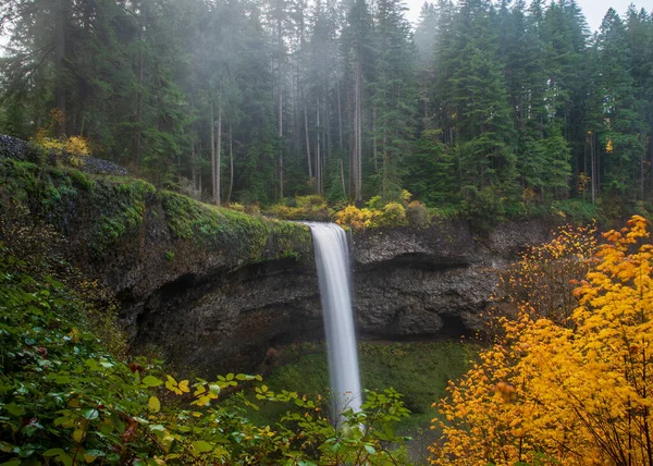 Długa Ekspozycja Wodospadu Silver Falls State Park Silverton Oregon Usa — Zdjęcie stockowe