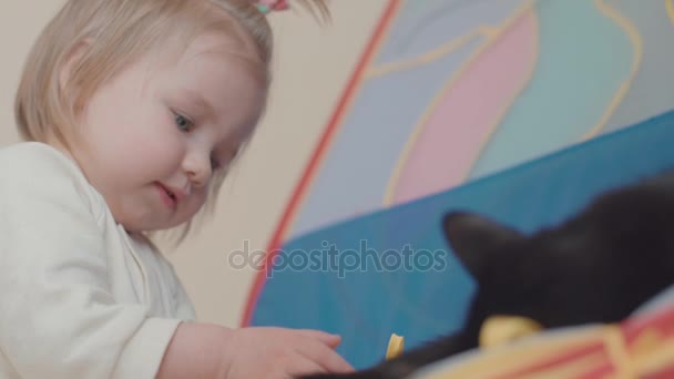 Niña juega con un gato en casa — Vídeo de stock