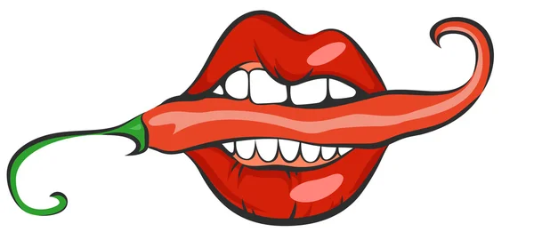 Sexy lips with red hot chili pepper. Pop art mouth biting spice. Close up view of cartoon girl eating flavoring. Vector illustration — Stock Vector