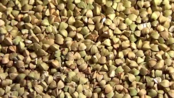 Raw green buckwheat seeds rotating and falling, close up overhead view, healthy eco organic food — Stock Video