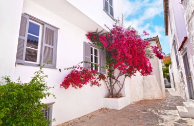 Hydra Adası Yunanistan evlerde