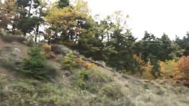 Orman Gölü Plastira Yunanistan yakınında