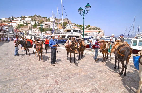 Ânes à Hydra île de Grèce — Photo